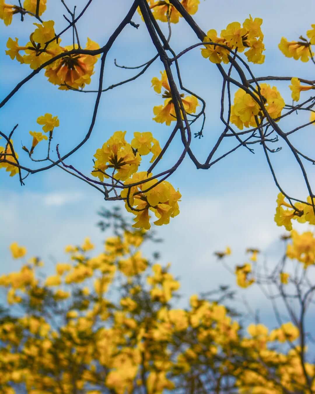 全台景點：六大特色花園秘境！