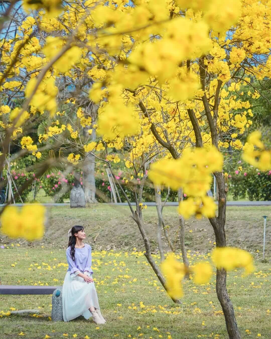 全台景點：六大特色花園秘境！