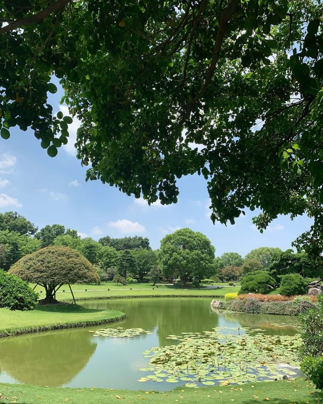 全台景點：六大特色花園秘境！