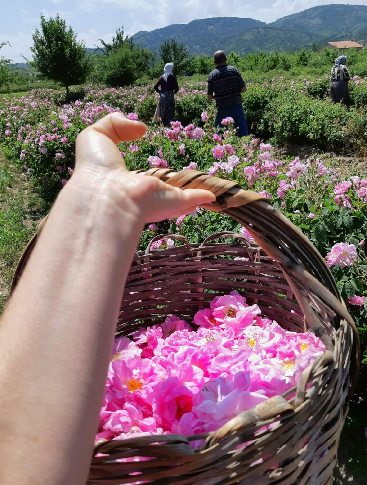 土耳其自由行|土耳其旅遊懶人包!土耳其景點、美食、行程、住宿推薦