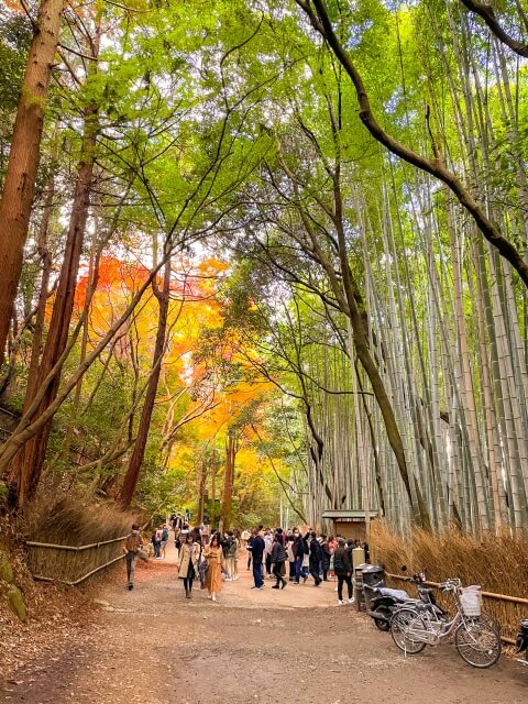 日本自由行|在京都搭嵐山小火車、看伏見稻荷大社千本鳥居! 京都一日遊景點推薦 TOP 6
