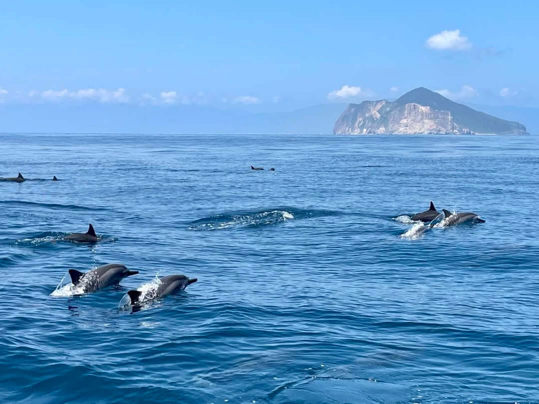 宜蘭景點|2025龜山島登島玩法全攻略!本篇快收藏!讓人讚嘆大自然的巧奪天工 宜蘭景點|2025龜山島登島玩法全攻略!本篇快收藏!讓人讚嘆大自然的巧奪天工