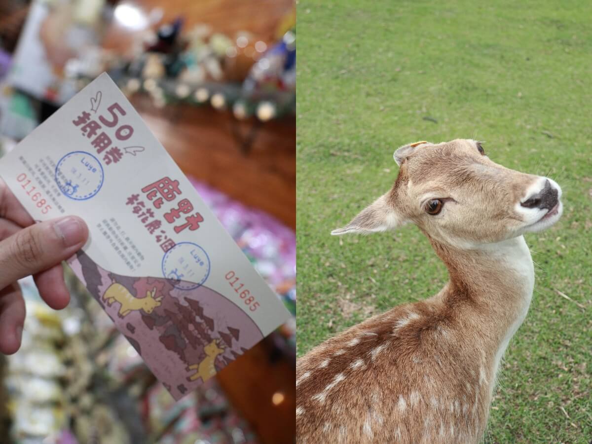 台東親子一日遊|來鹿野不只有熱氣球可以玩!超療癒行程3大景點推薦!