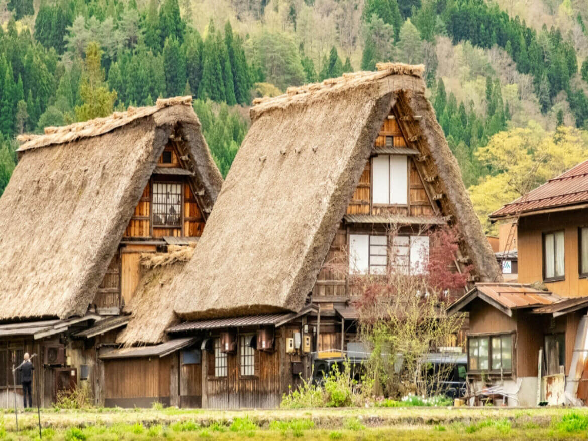 2025最齊全！日本黑部立山開山自由行懶人包