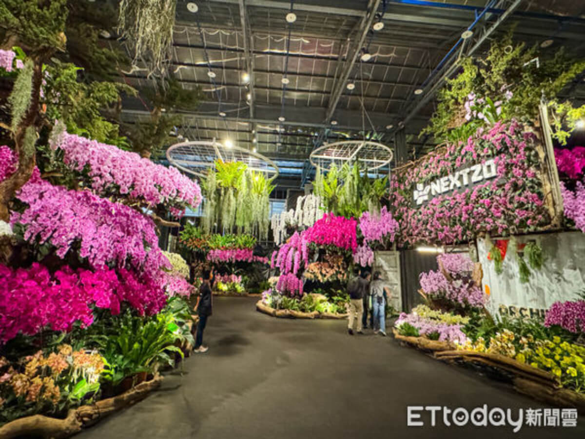 台南景點｜最美蘭展登場！走進迷霧森林、繁花隧道　再搭五分車看落羽松