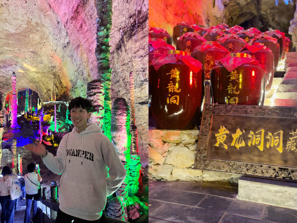 影|張家界旅遊|初訪張家界可以怎麼玩?阿凡達傳奇取景地、世界海拔最高的天然溶洞