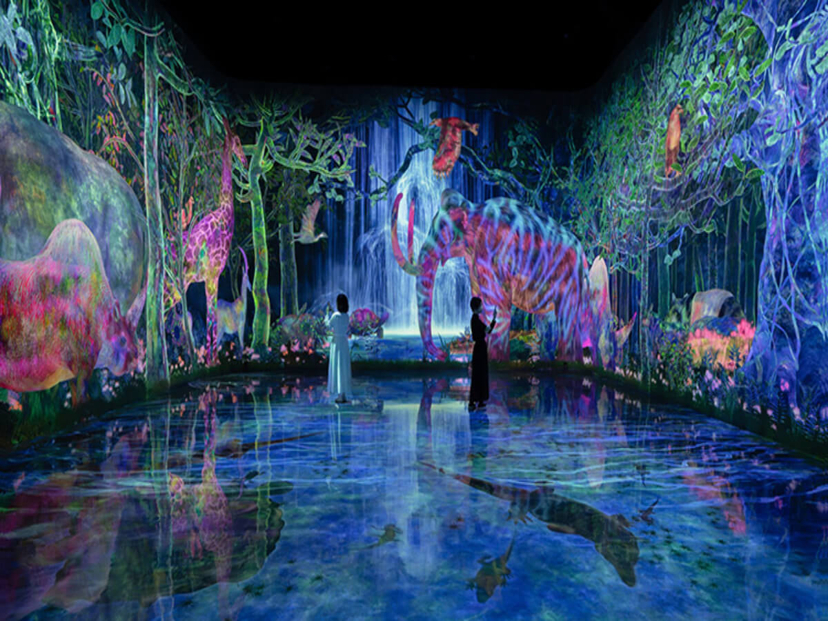 高雄景點｜日本必看展覽TeamLab 6月登陸高雄！全新主題《彩繪環世界》新增海豚角色，台灣搶先看！