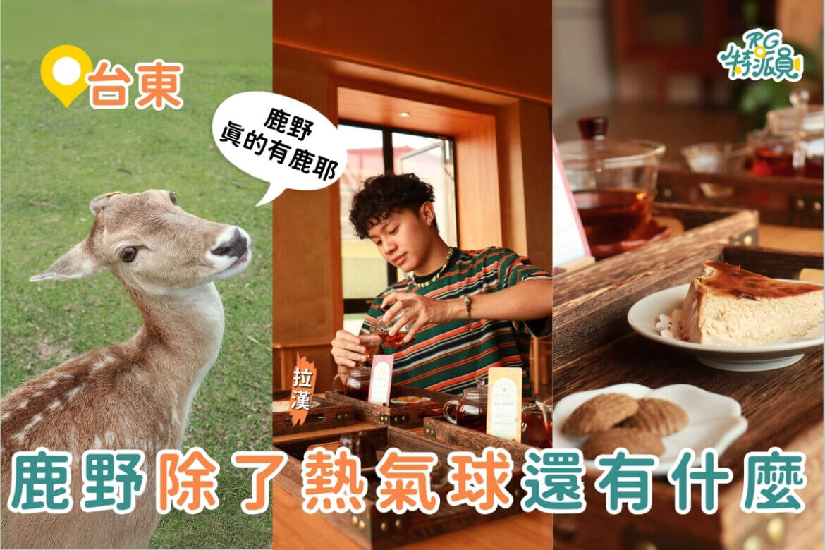 台東親子一日遊｜來鹿野不只有熱氣球可以玩！超療癒行程3大景點推薦！