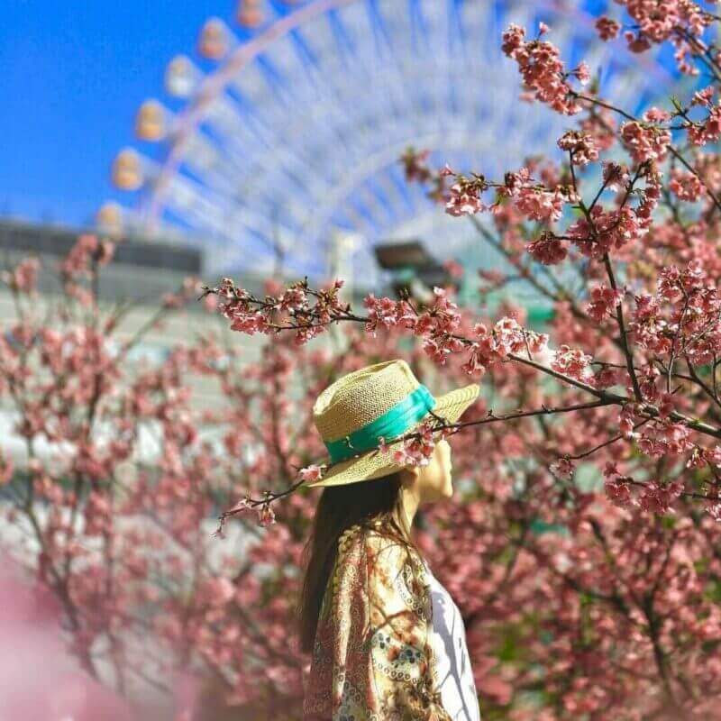 2026全台賞櫻景點|前進如夢似幻的樂活公園、石壁風景區,見證粉紅爆擊! 2026全台賞櫻景點|前進如夢似幻的樂活公園、石壁風景區,見證粉紅爆擊!