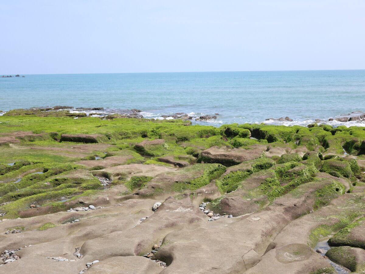 新北景點|北海岸一日遊攻略:私房景點、美食、海景咖啡通通打包!