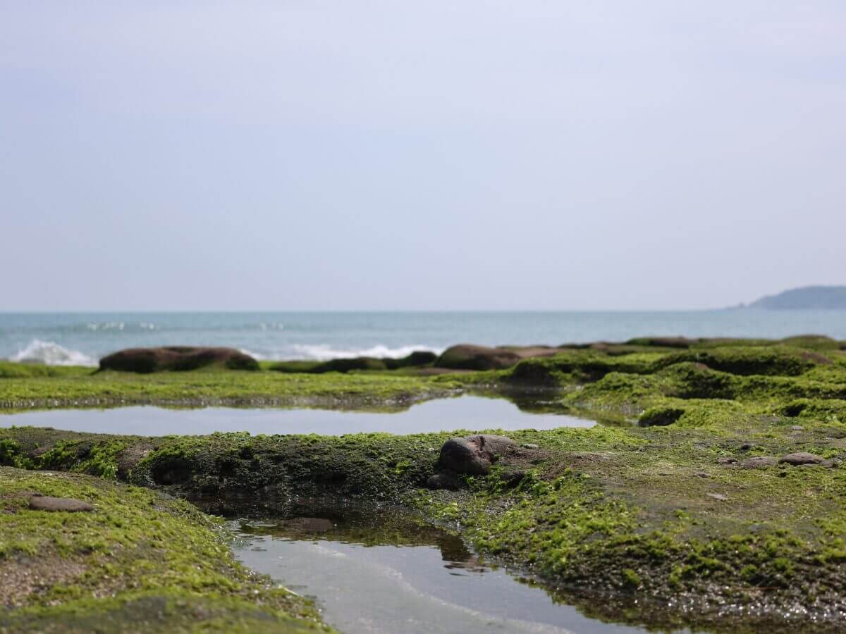 新北景點|北海岸一日遊攻略:私房景點、美食、海景咖啡通通打包!