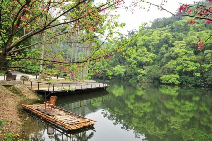 桃園慈湖一日遊|歷史人文與自然風光兼具,前慈湖看文化、後慈湖賞祕境!