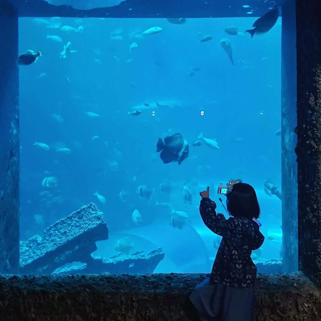 全台景點｜國立海洋生物博物館
