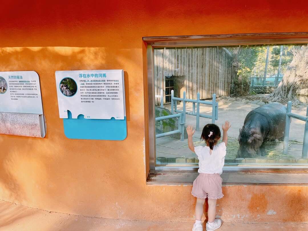 全台景點｜新竹市立動物園