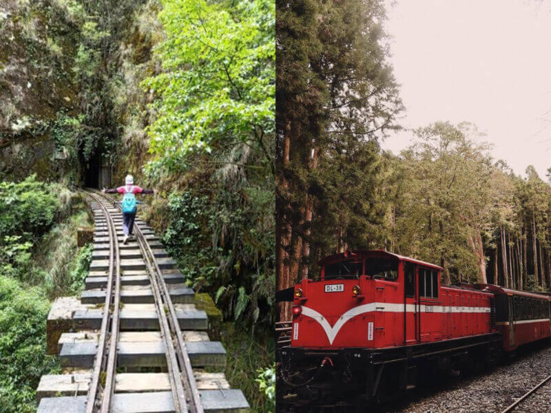 嘉義景點｜阿里山國家森林遊樂區不只看日出！阿里山眠月線秘境路線公開，走進嘉義最療癒的森林