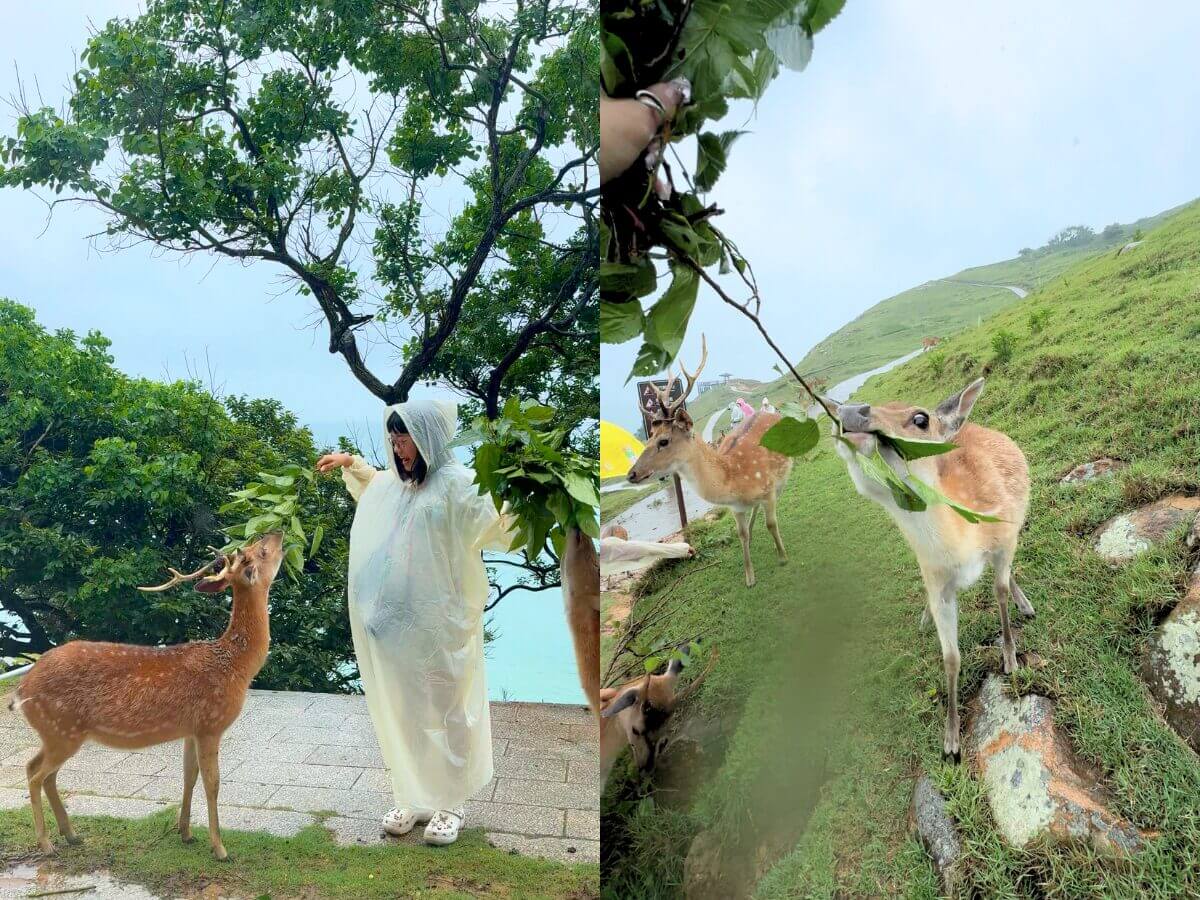 馬祖景點|網路爆紅景點TOP5~鹿島漫步、石屋秘境、歷史與美景的結合! 馬祖景點|網路爆紅景點TOP5:鹿島漫步、石屋秘境、歷史與美景的結合!