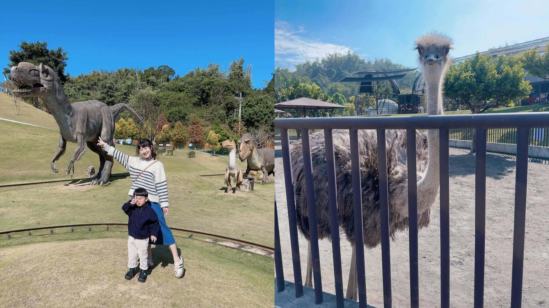 全台景點｜最不敗的親子景點好去處！盤點 7 家全台特色動物園，暑假出遊還能寓教於樂