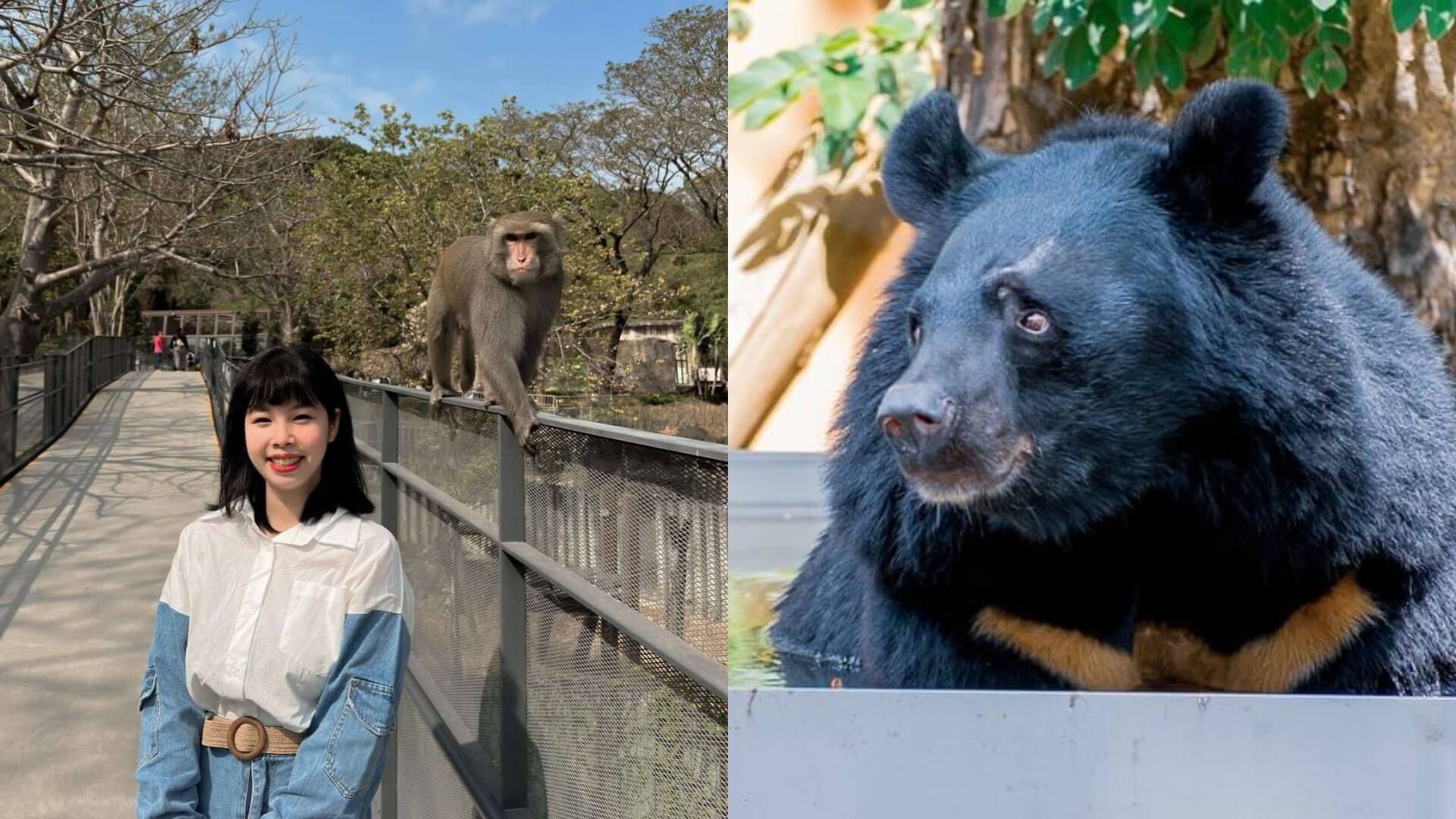 全台景點｜最不敗的親子景點好去處！盤點 7 家全台特色動物園，暑假出遊還能寓教於樂