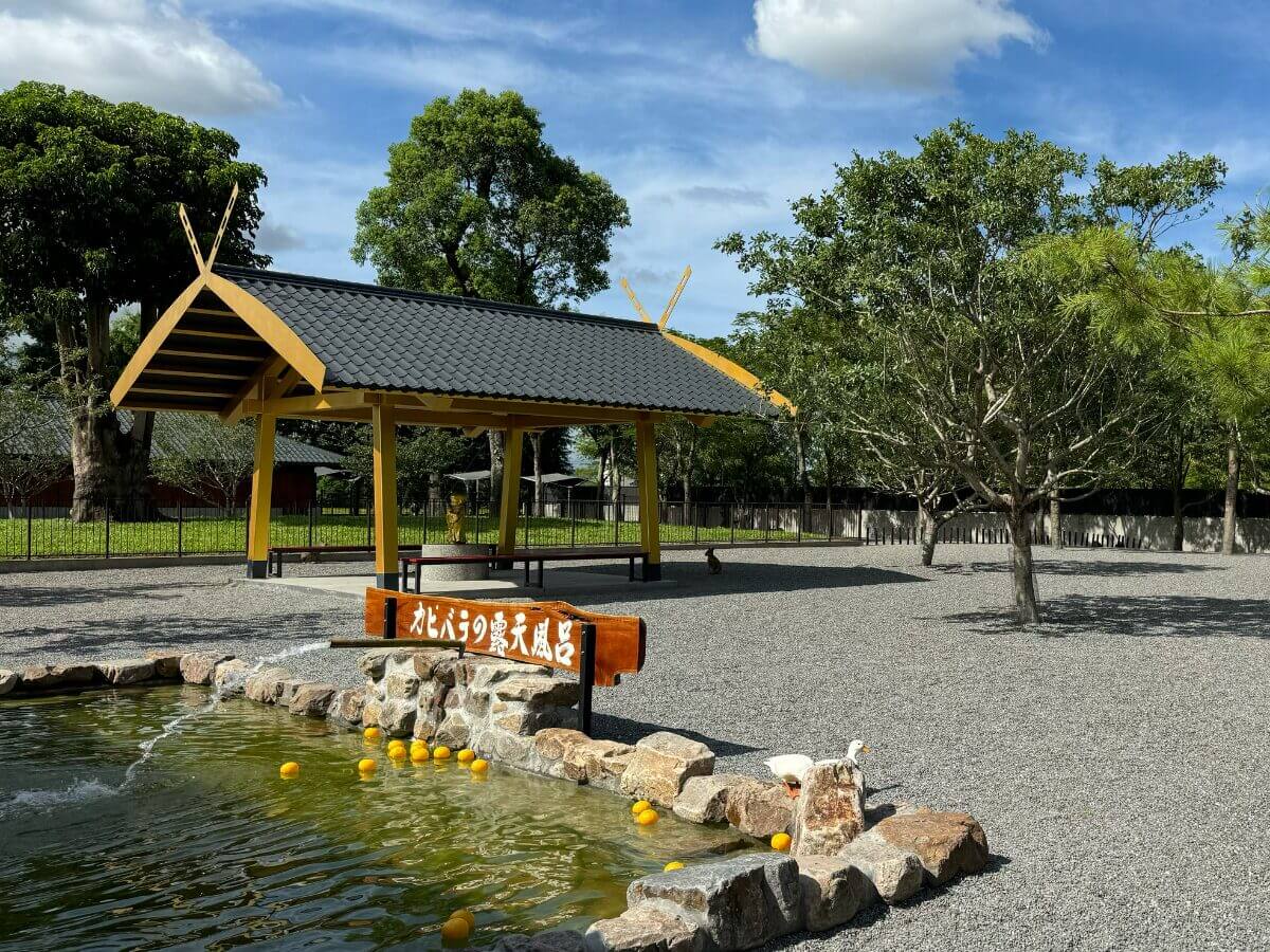 宜蘭一日遊｜羅東不只有夜市！萌寵農場＋2家私藏美食大公開