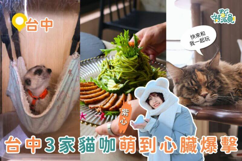 台中貓咖地圖｜貓奴快衝！台中 3 間貓咪咖啡廳萌度爆表，還有狐獴陪你喝下午茶！