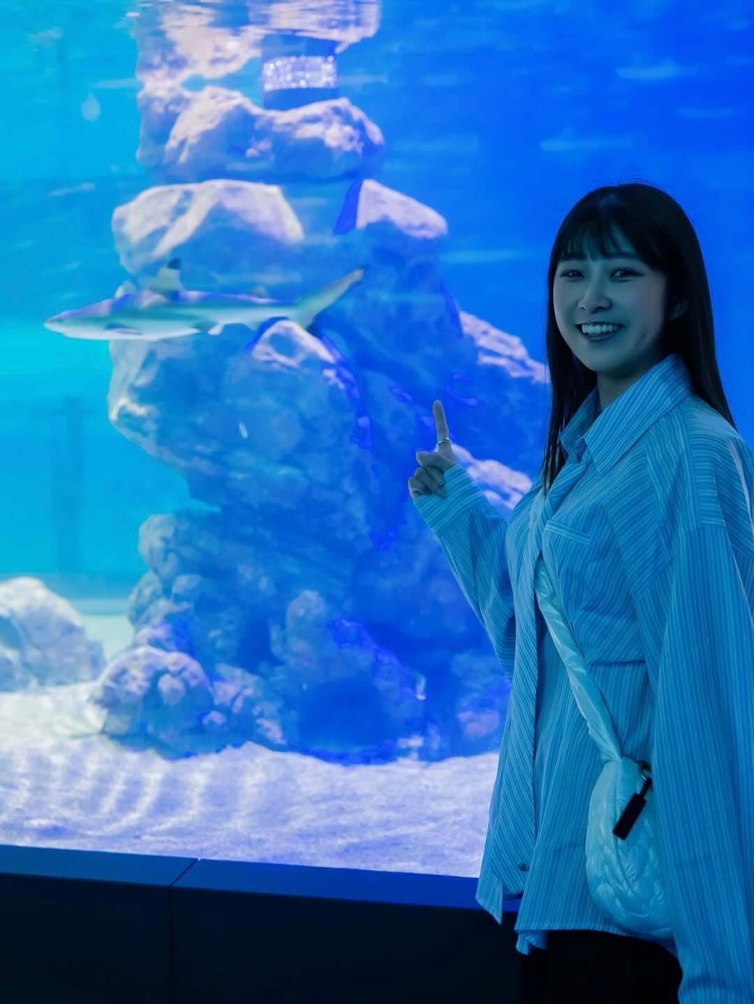 台中親子景點｜台中海洋館