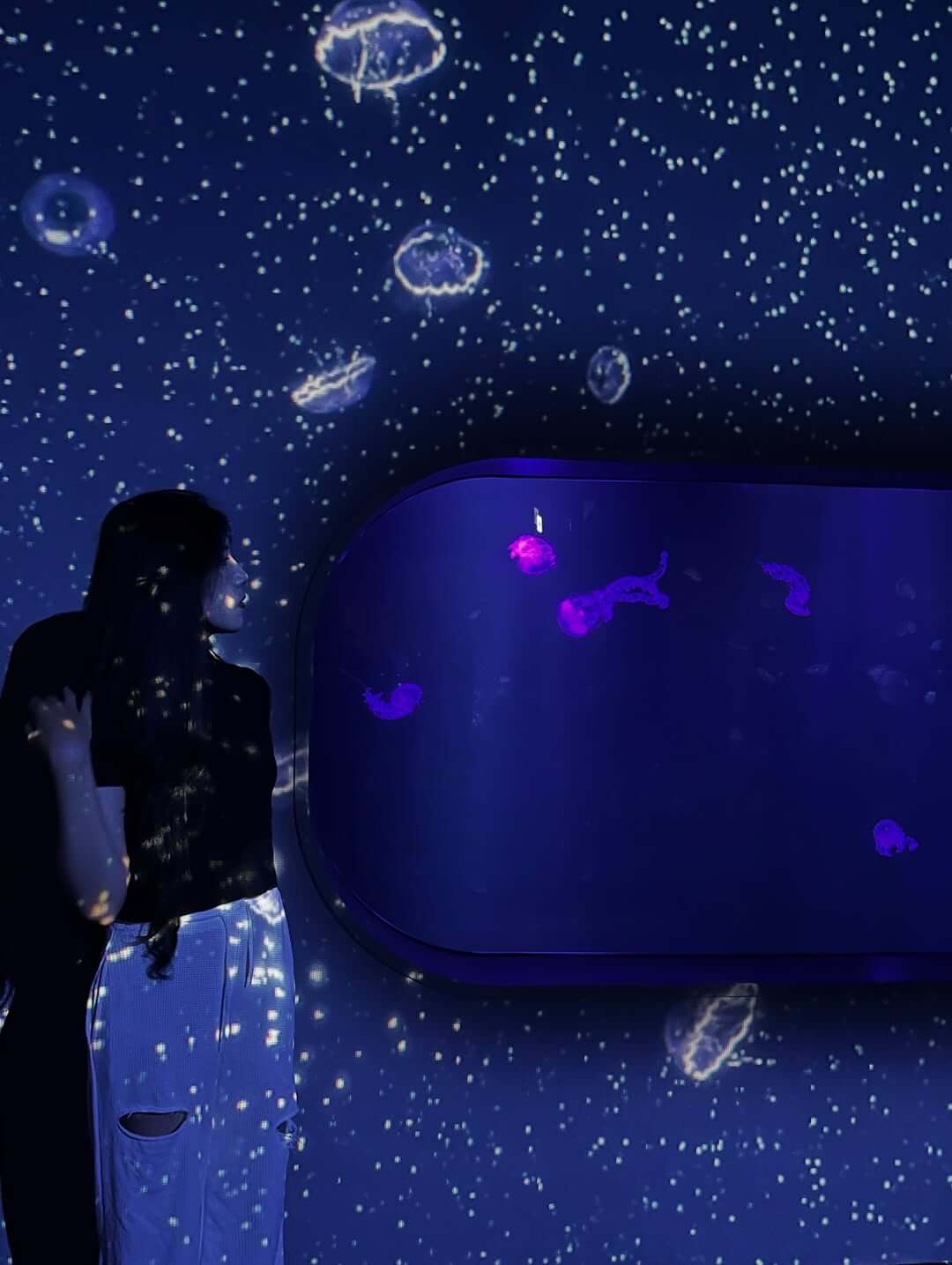 台中親子景點｜台中海洋館