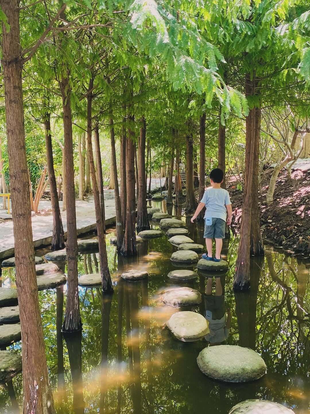 桃園親子景點|「野趣森林」不插電樂園升級回歸,平均一個體驗不到1元,一票玩到底超划算! 野趣森林