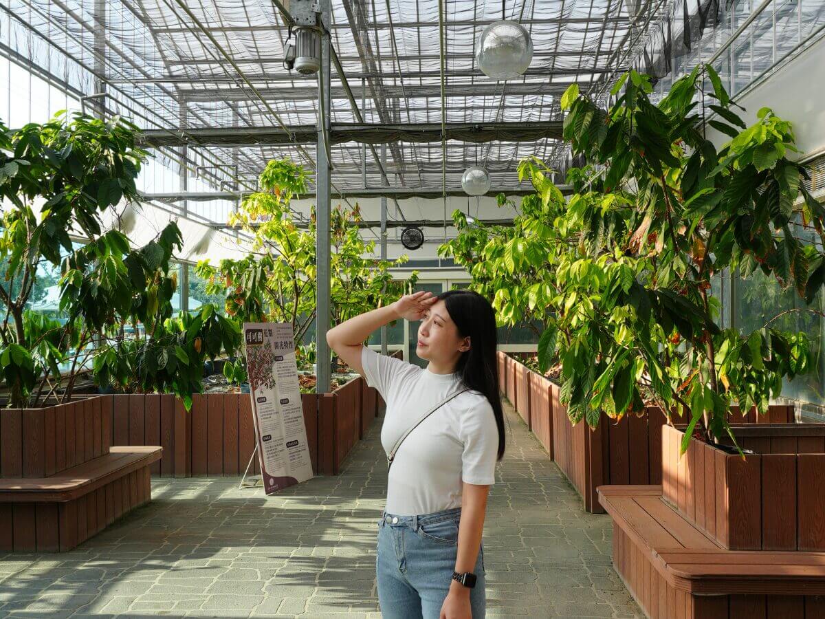 雲林一日遊｜土庫一日輕旅行～可可莊園、百年市場的在地味、老宅鐘錶咖啡、順天宮散步路線