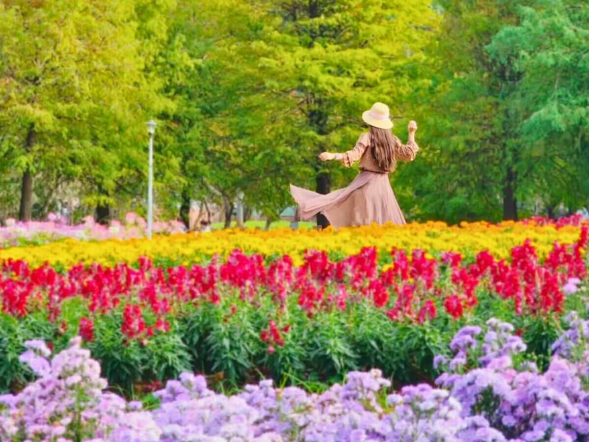 台北一日遊｜士林賞菊一日遊攻略！從早午餐、賞花到夜市美食的完美行程！
