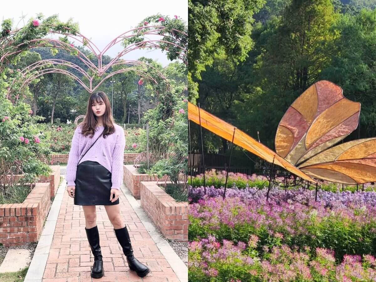台北一日遊｜士林賞菊一日遊攻略！從早午餐、賞花到夜市美食的完美行程！