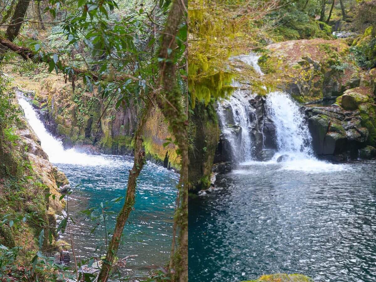 熊本菊池一日遊｜日幣大降必玩路線，菊池溪谷、道之驛、人氣美食推薦～