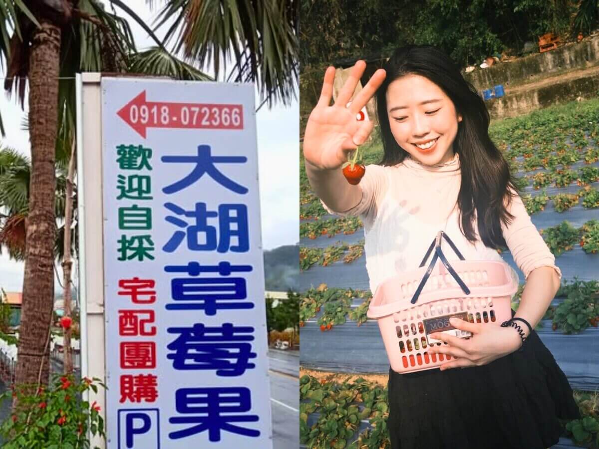全台草莓園懶人包｜草莓控集合！7大夢幻草莓園採果＋甜點一次吃透透
