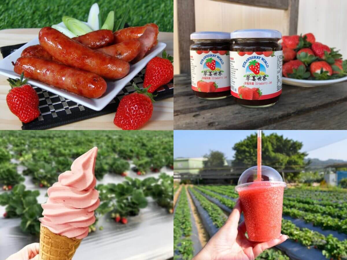 全台草莓園懶人包｜草莓控集合！7大夢幻草莓園採果＋甜點一次吃透透