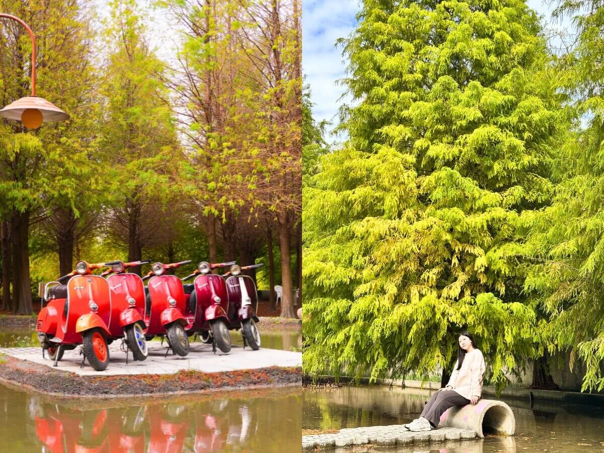 台中景點｜后里 3 大人間仙境一次玩！落羽松秘境、透明獨木舟、火炎山景觀餐廳全收錄