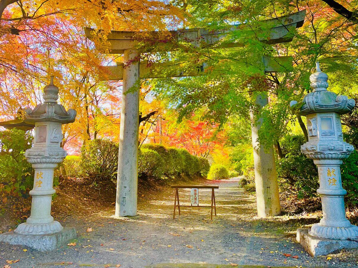 熊本菊池一日遊｜在日本吃黑毛和牛只要400元？超高CP值美食、神社與足湯體驗一次收！