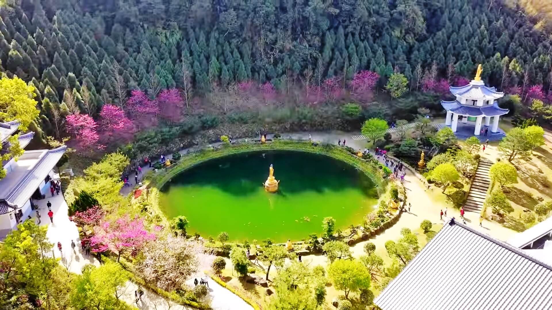 苗栗賞櫻推薦 蓮臺山妙音淨苑