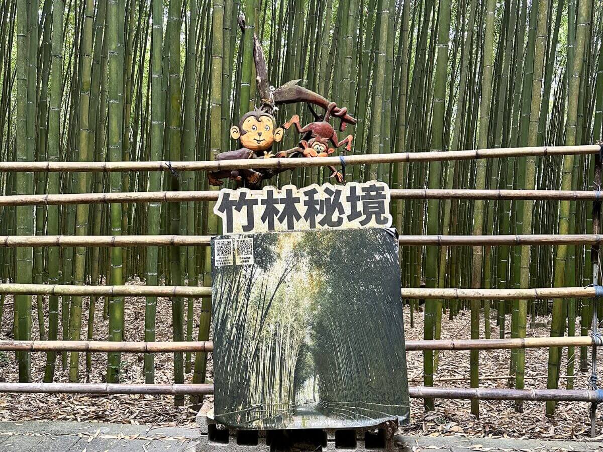 苗栗一日遊｜泰安免門票景點攻略：溫泉煮蛋、竹林秘境、洗水坑豆腐街