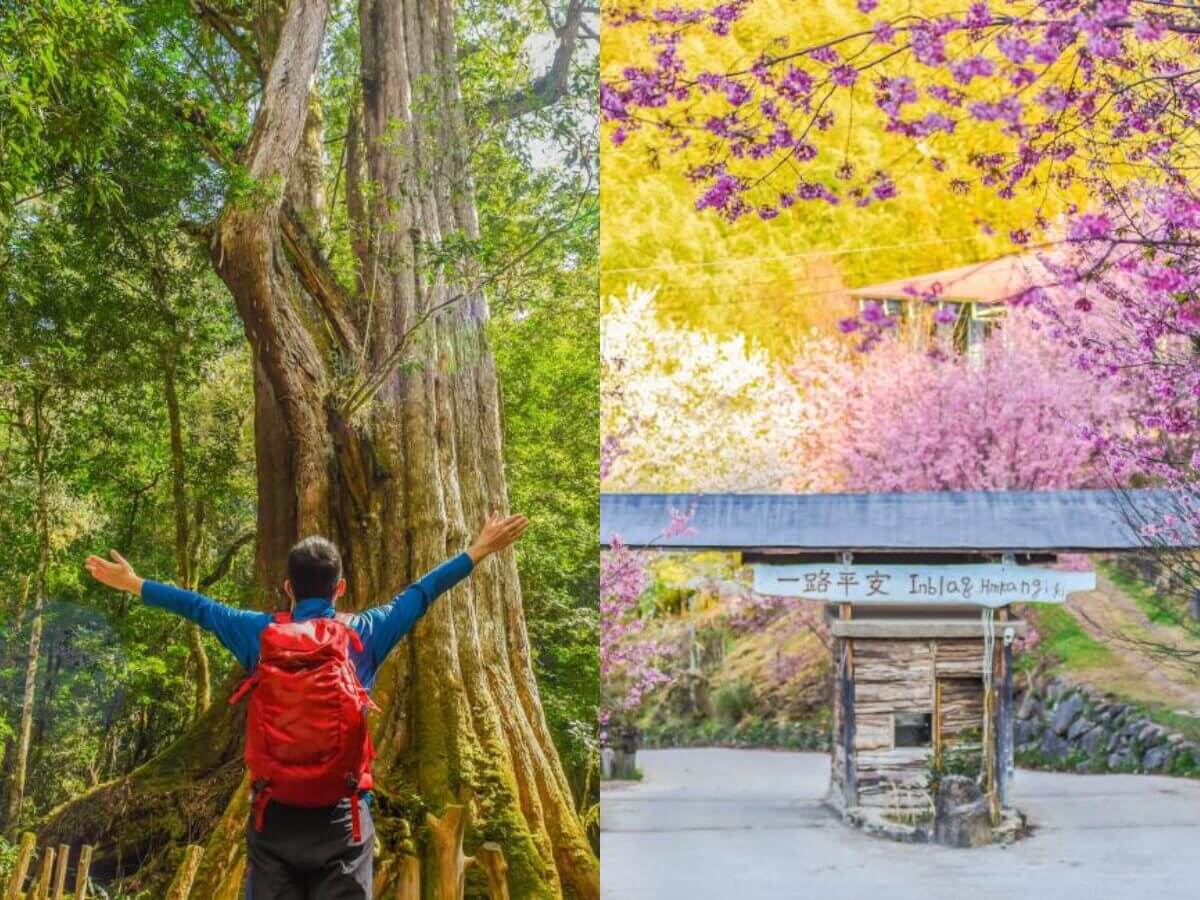 2026賞櫻一日遊懶人包｜5條賞櫻一日遊行程直接照著走