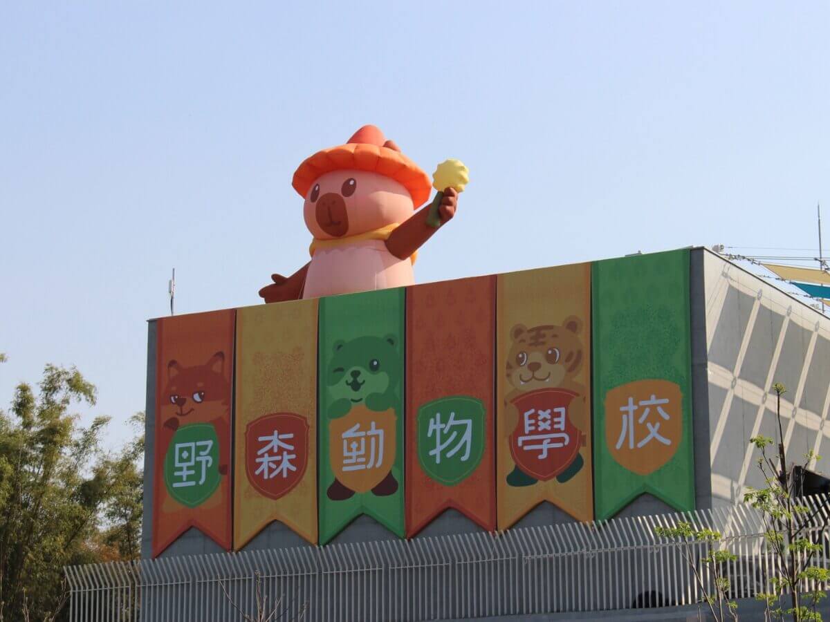 高雄一日遊｜最新親子景點「野森動物學校 」3 月正式開放！狐獴互動、狐狸谷、栗翅鷹上手體驗＋內門美食一日遊