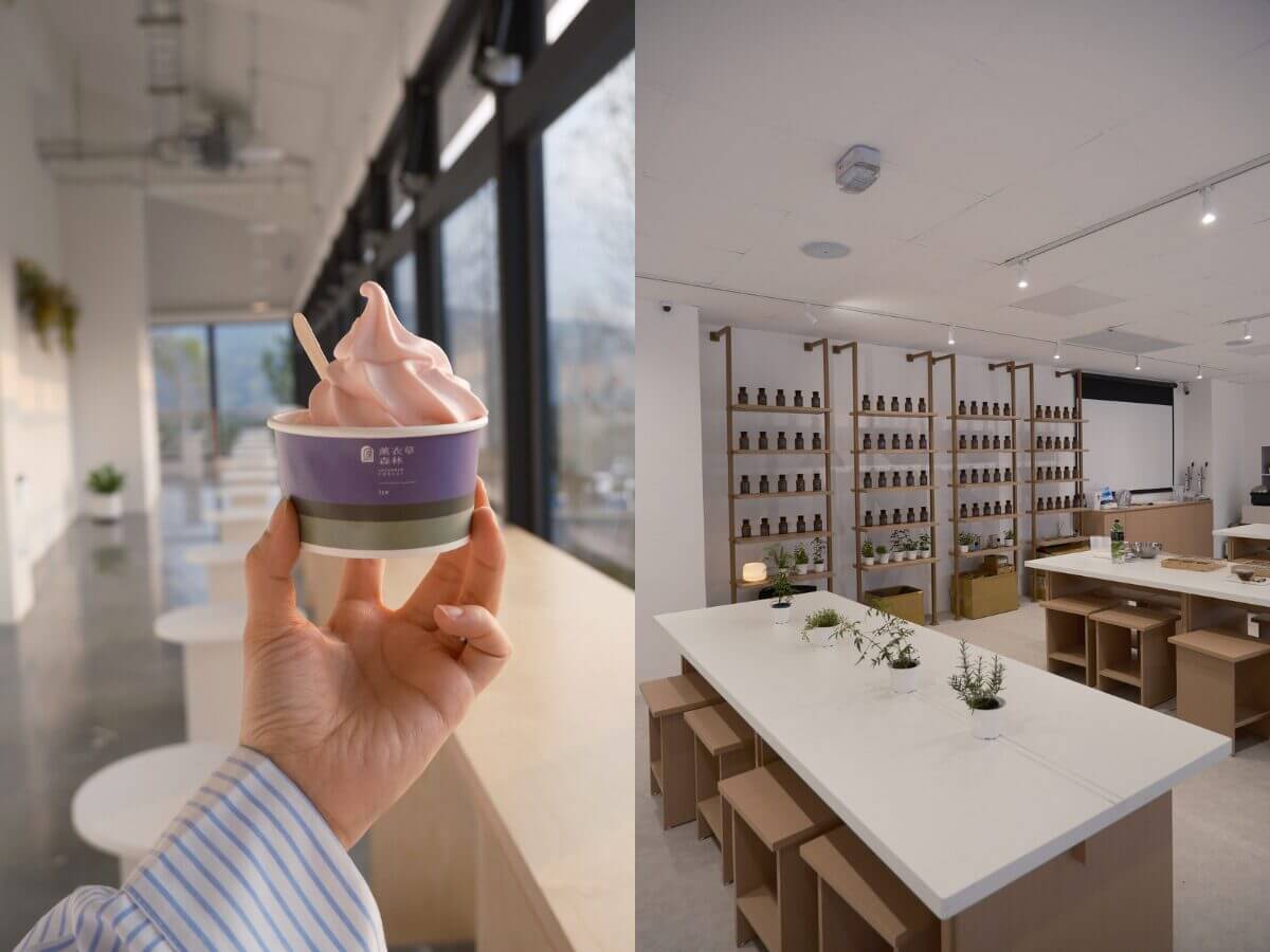 南投最新景點｜薰衣草森林九九峰氦氣球樂園開箱！升空看火炎山地貌＋花季散步＋園區燒肉一次玩