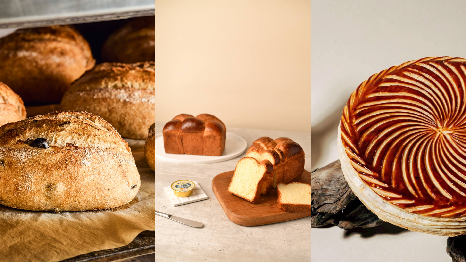 台北假日好去處｜2026 台北麵包祭 4/18～4/19 登場！聯手「臺北咖」，台日逾 60 家品牌飄香圓山花博