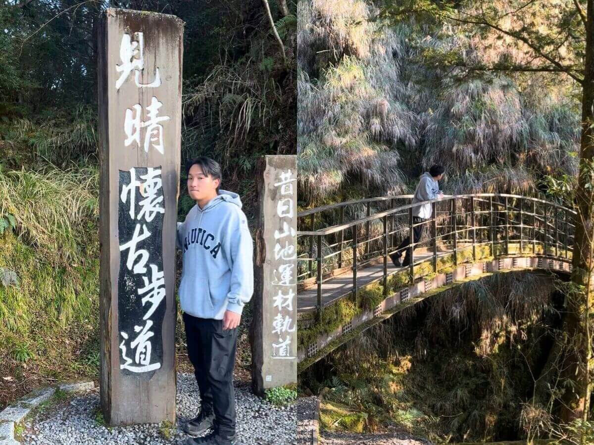 全台親山步道推薦|新手也能輕鬆走!12條絕美親山步道懶人包,森林系、天空步道、101夜景全收錄