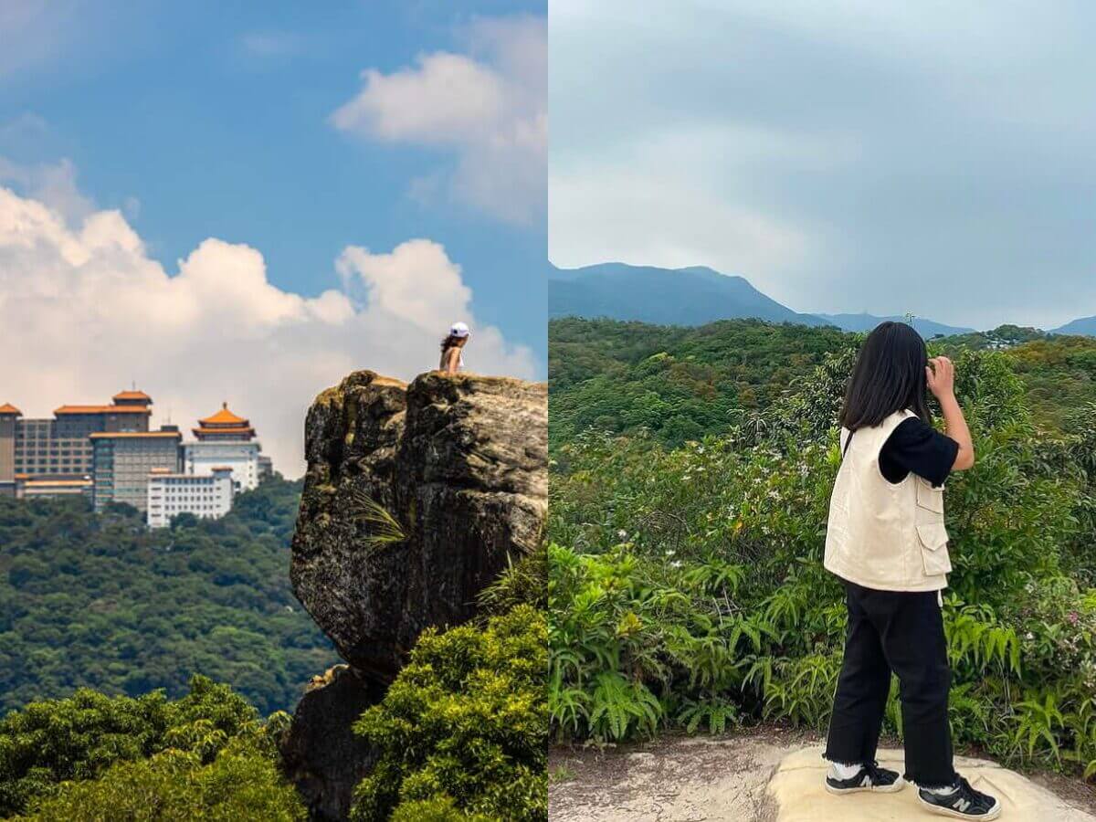全台親山步道推薦|新手也能輕鬆走!12條絕美親山步道懶人包,森林系、天空步道、101夜景全收錄