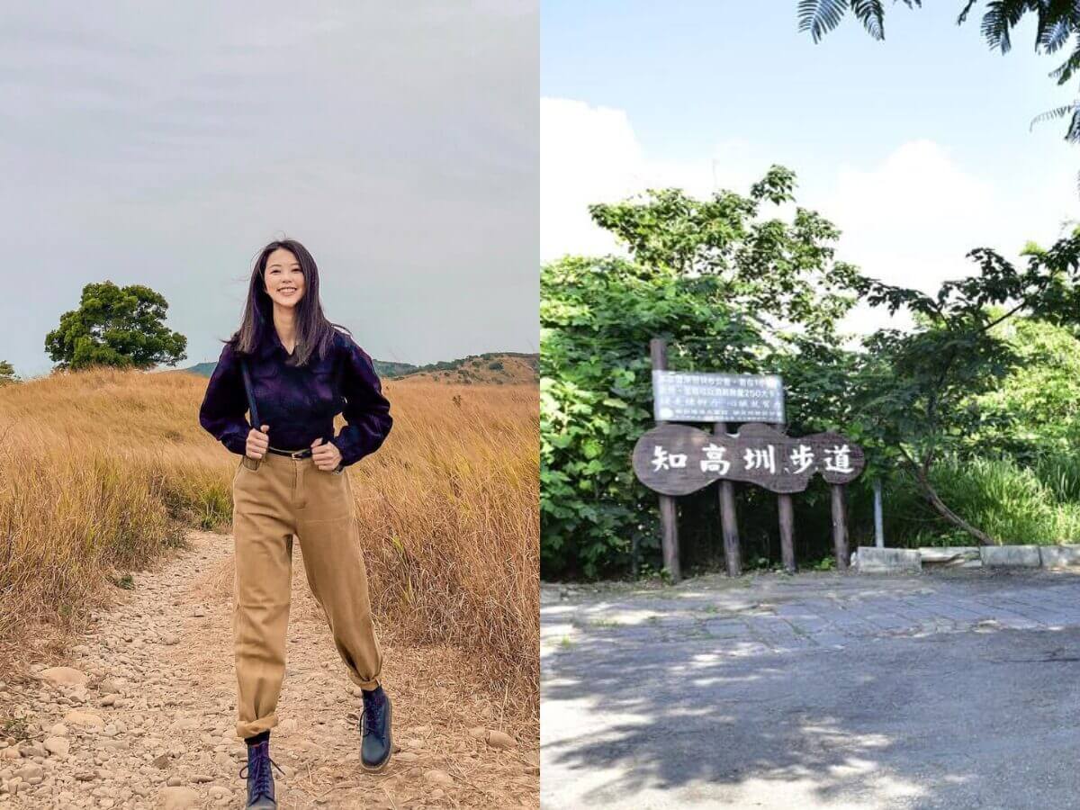全台親山步道推薦|新手也能輕鬆走!12條絕美親山步道懶人包,森林系、天空步道、101夜景全收錄