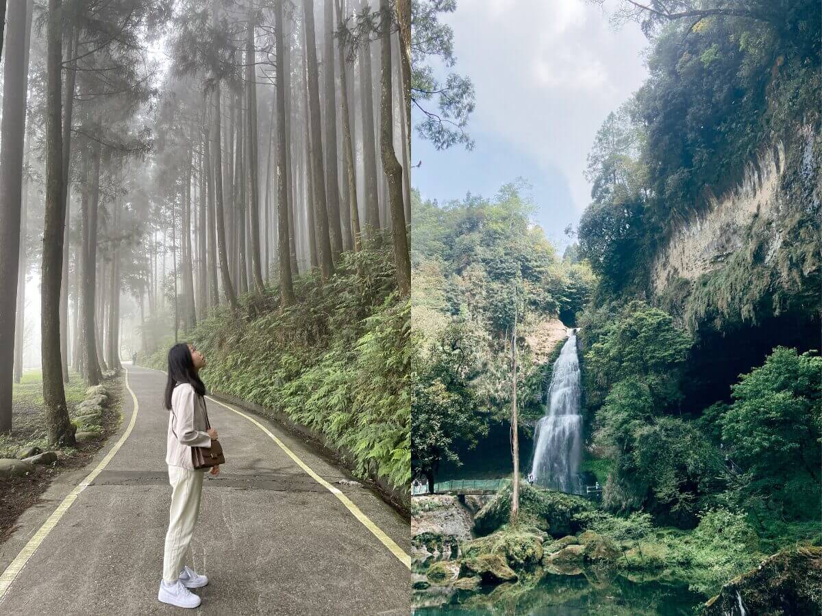 全台親山步道推薦|新手也能輕鬆走!12條絕美親山步道懶人包,森林系、天空步道、101夜景全收錄