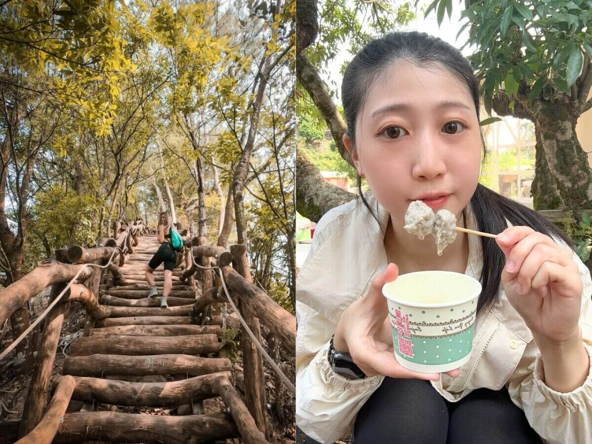 全台親山步道推薦|新手也能輕鬆走!12條絕美親山步道懶人包,森林系、天空步道、101夜景全收錄