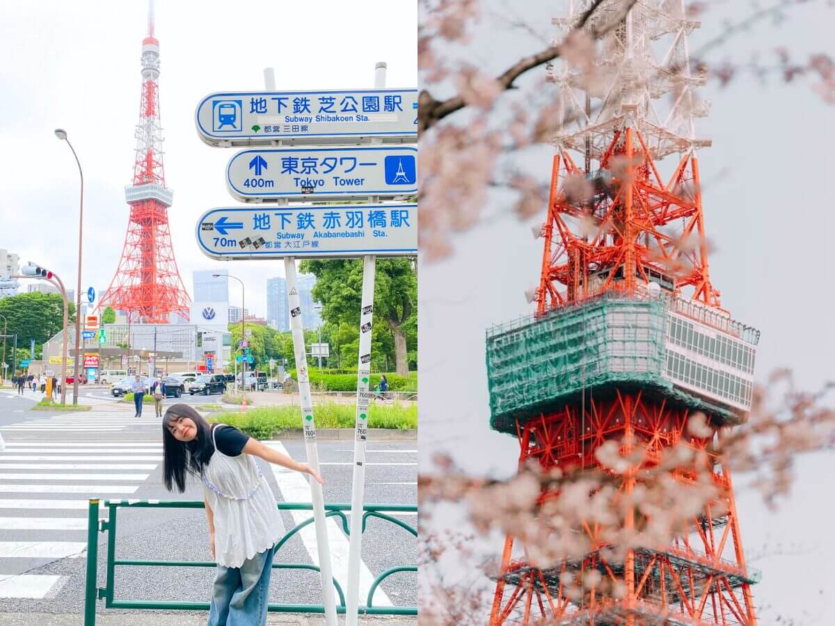 東京五天四夜親子行程|江之島、迪士尼、哈利波特影城一次玩!免費景點與親子餐廳全攻略