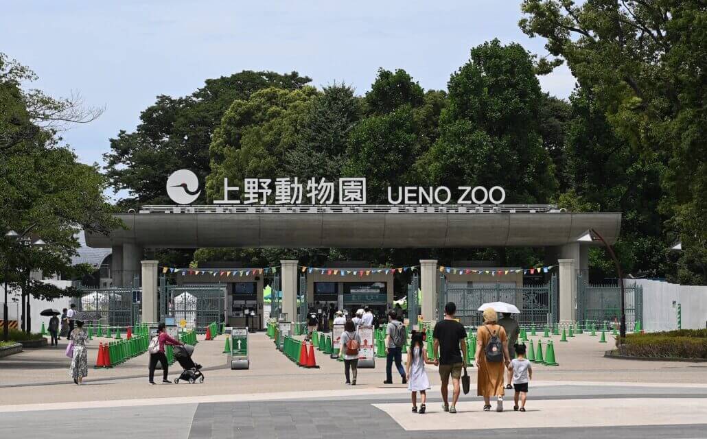 東京五天四夜親子行程|江之島、迪士尼、哈利波特影城一次玩!免費景點與親子餐廳全攻略