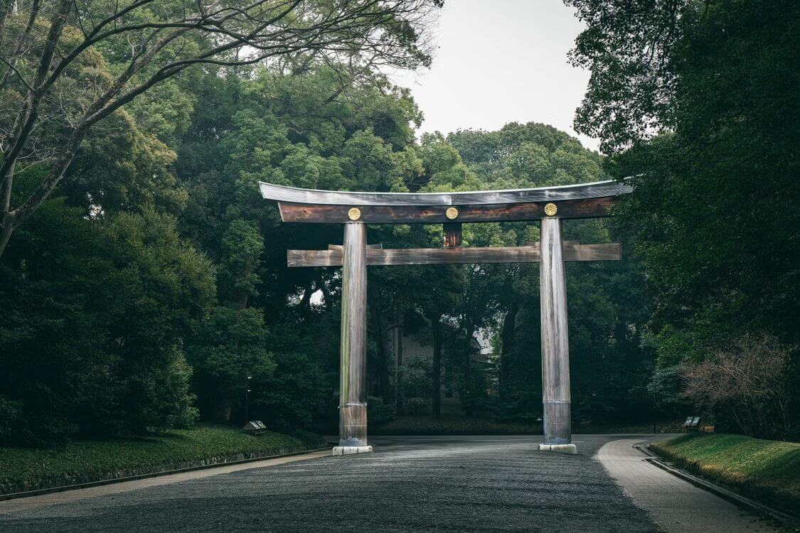 東京五天四夜親子行程|江之島、迪士尼、哈利波特影城一次玩!免費景點與親子餐廳全攻略