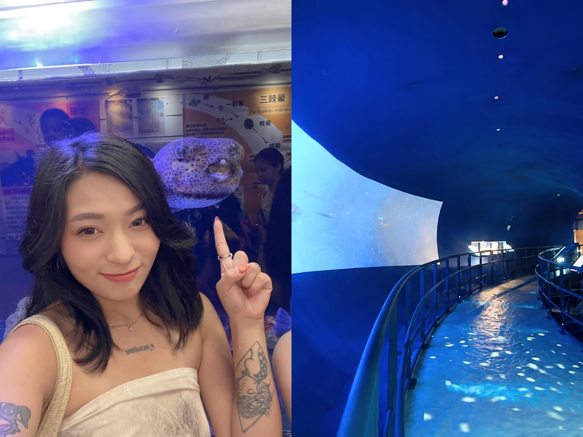 基隆一日遊|基隆別再只逛廟口!八斗子從中午玩到晚上,海洋館、海鮮美食、水豚岩、夜間鐵道一次收